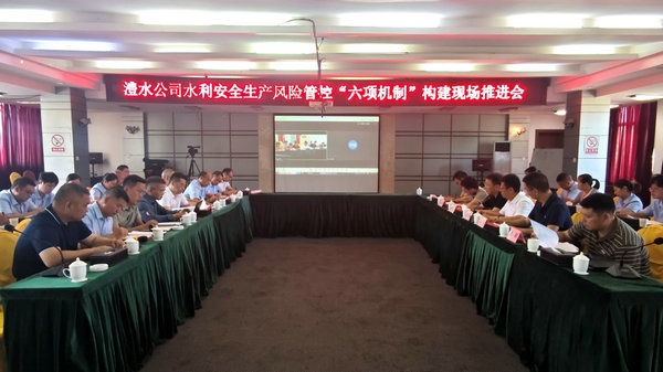 澧水公司召开水利安全生产风险管控“六项机制”构建现场推进会